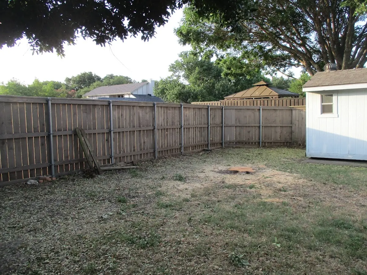 Cleared yard after professional tree removal in Port Wing